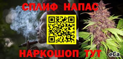 стаф Будённовск