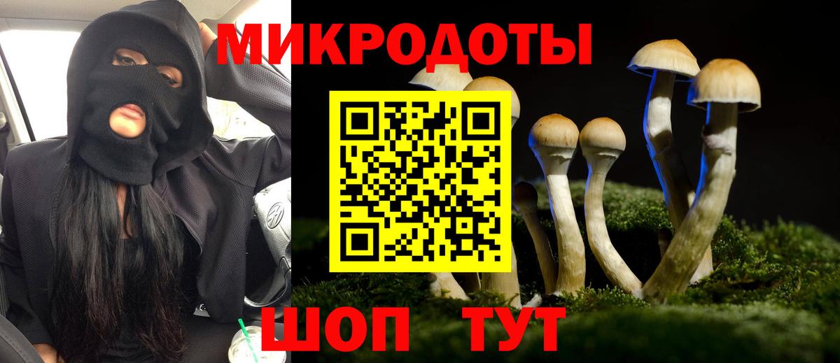 Назрань  дарнет шоп  Вход с VPN  Галлюциногенные грибы Psilocybe 